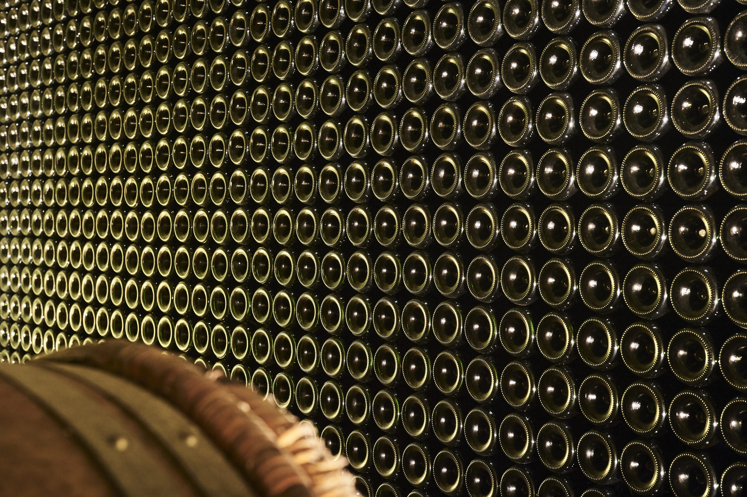 conservación vino