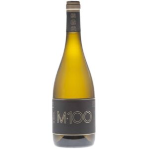m-100-V