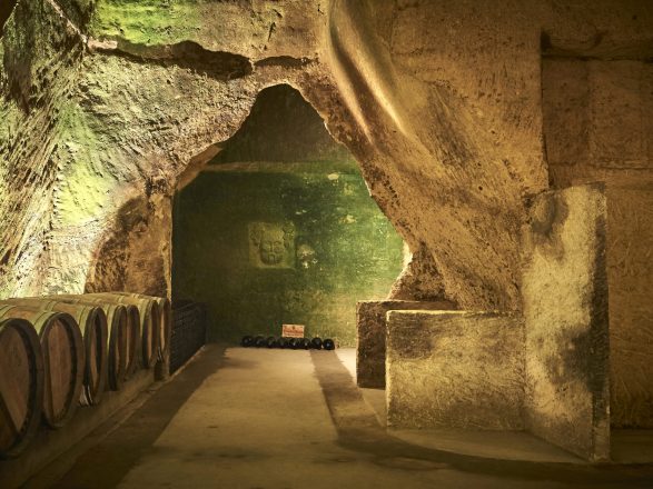 conservación barriles vino